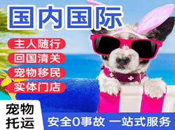 牡丹江航空空运国际宠物托运 【国